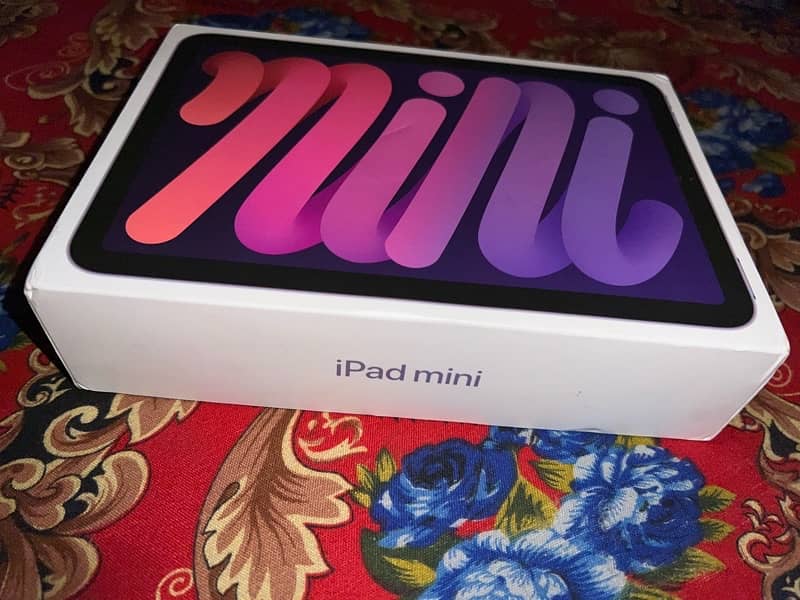 I pad mini 6 /64GB Gary  cloure 13