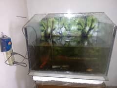 2 aquarium for sale with all