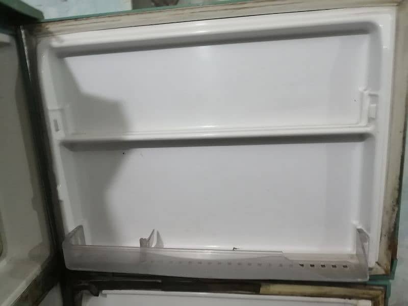 wave full size fridge 2