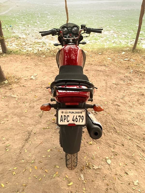 yamaha ybr 125 2023 model 11