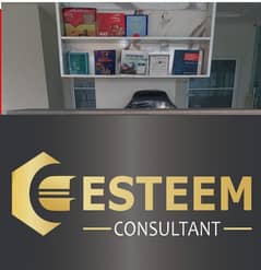 Esteem Consultance