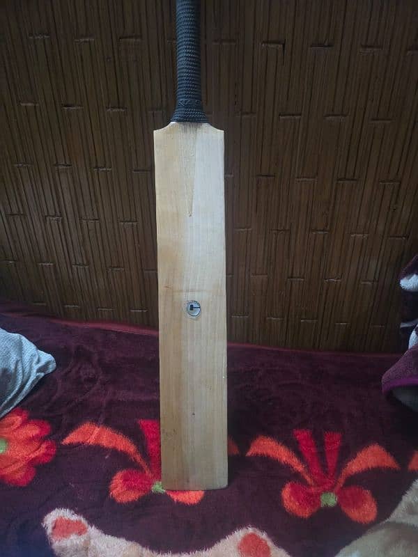 Hardball cricket bats 1