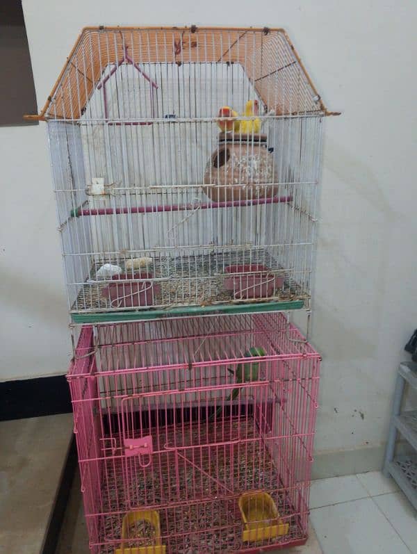 3 cages for sale read full add 5