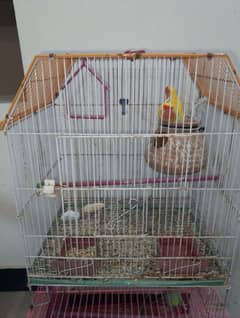 3 portion cage for sale read full add