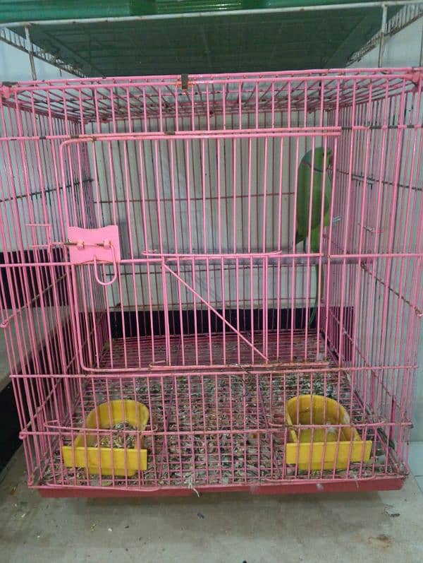 3 cages for sale read full add 7