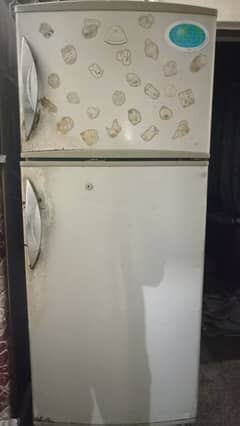 Fridge