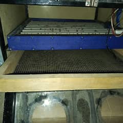 steel body incubator 200 eggs