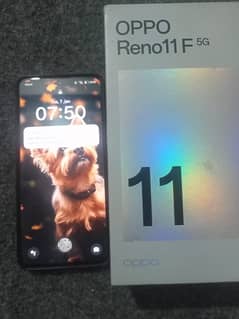 OPPO Reno 11 F.