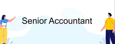 Senior Accountant