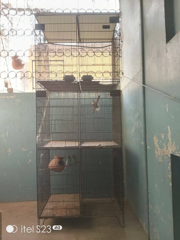 birds cage 1