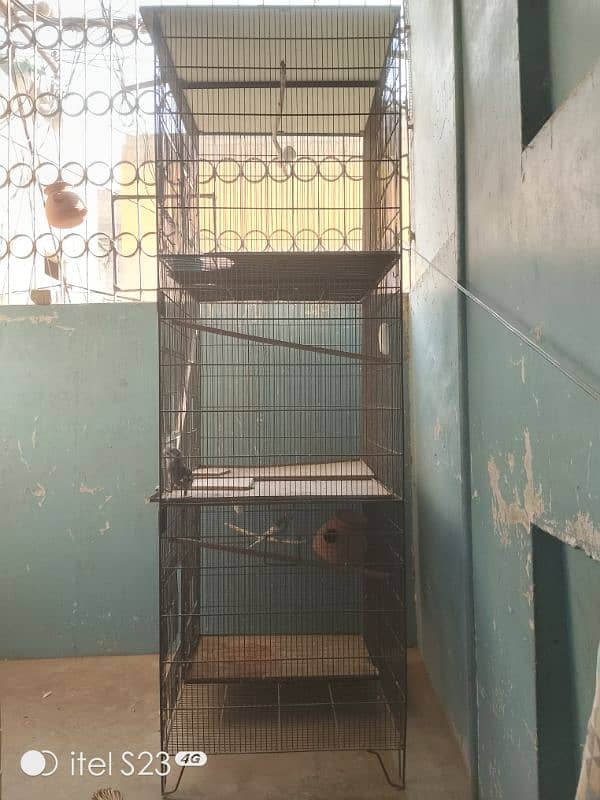 birds cage 3