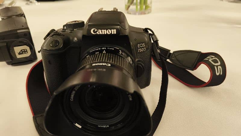 Canon 750D With 18 - 55 STM 5