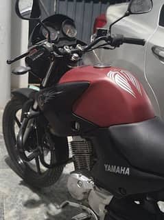 Yamaha YBR - 2019. . Black colour