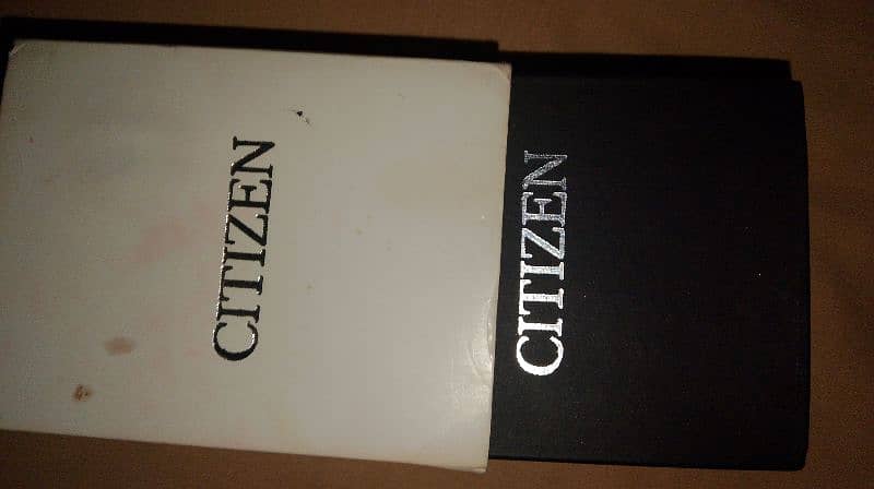 citizen watch 2