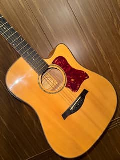 Taylor 100 Series Professional Semi Acoustic Guitar