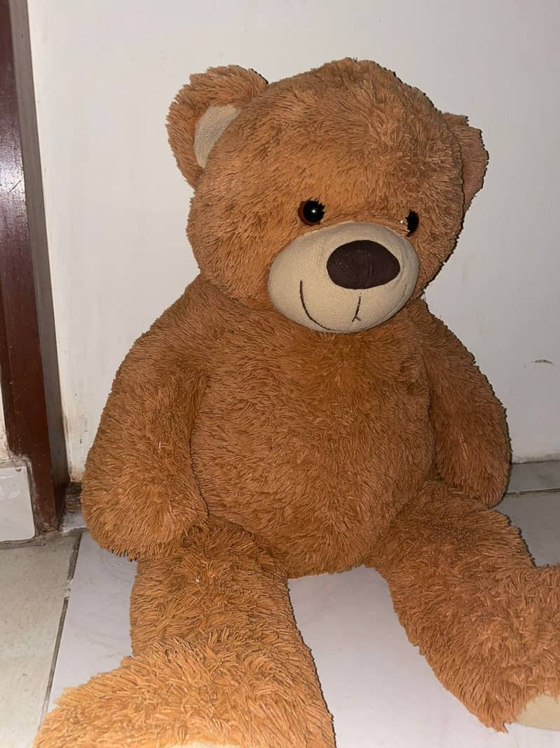 Big Teddy Bear (36CM/14INCH) 3