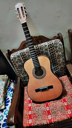 Acoustic Guitar