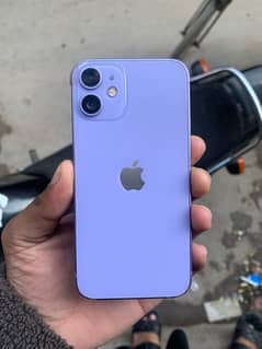 iphone 12mini Pta approved