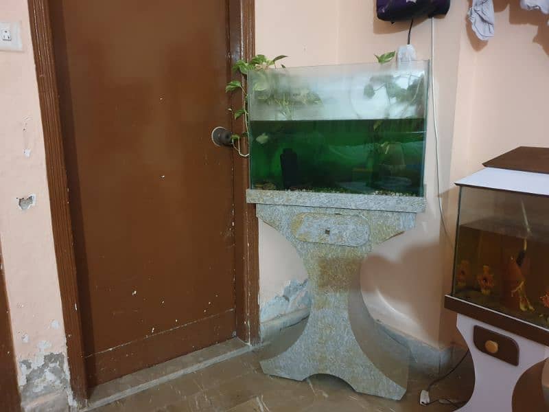 Aquariums like new for sale 1