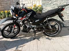 YAMAHA YBR 125G PUNJAB REGISTERED