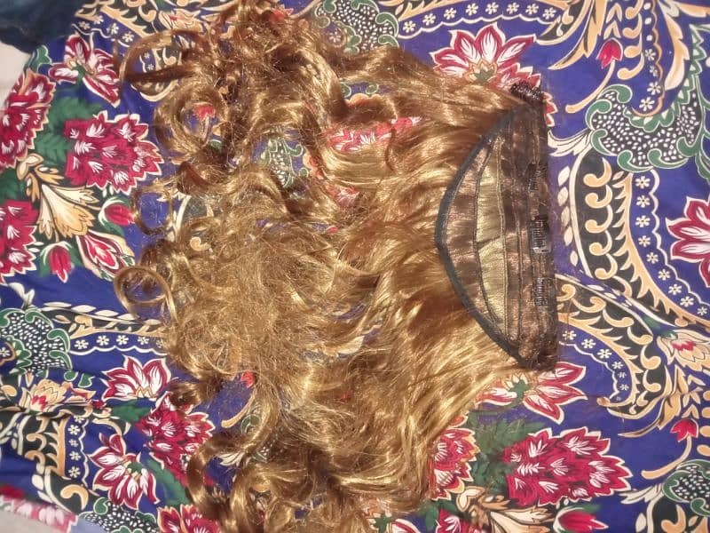 Hair Extension Golden 1