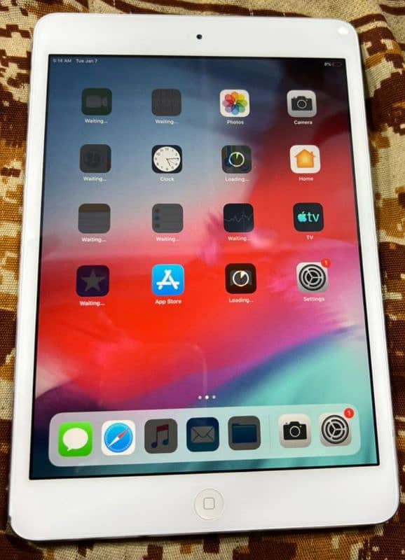 I pad mini 2 0