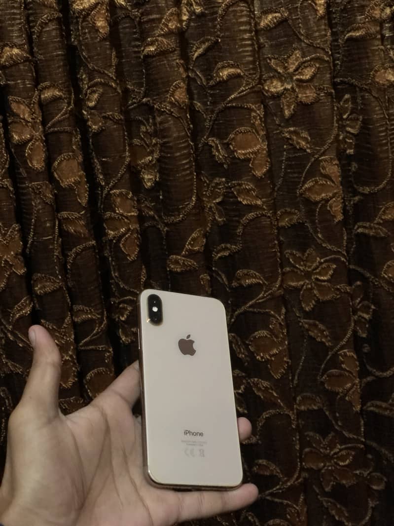 Apple iPhone XS 256 2