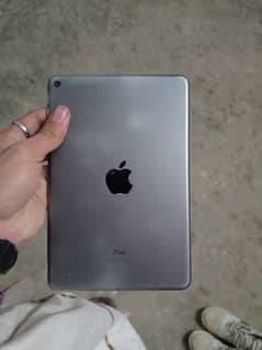 ipad mini 5