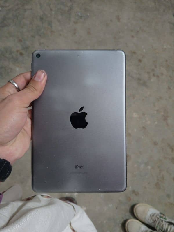 ipad mini 5 0