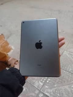 iPad mini 5 256gb