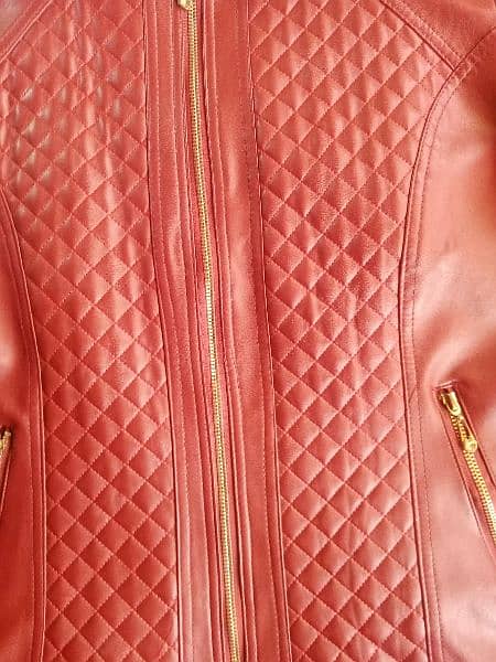 beautiful leather jacket only red colour branded leather jacket 5