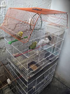 1 cage for row parrot or 2 potion cage for budgies ND lovebirds