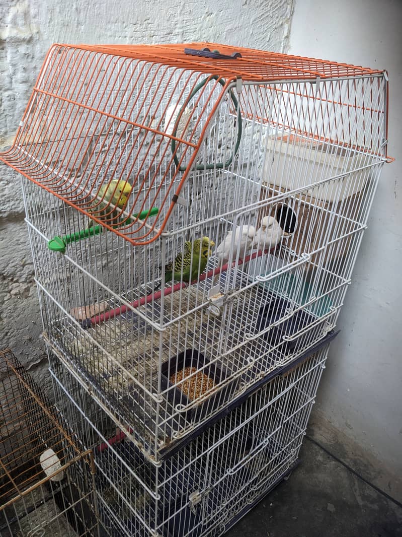 1 cage for row parrot or 2 potion cage for budgies ND lovebirds 0