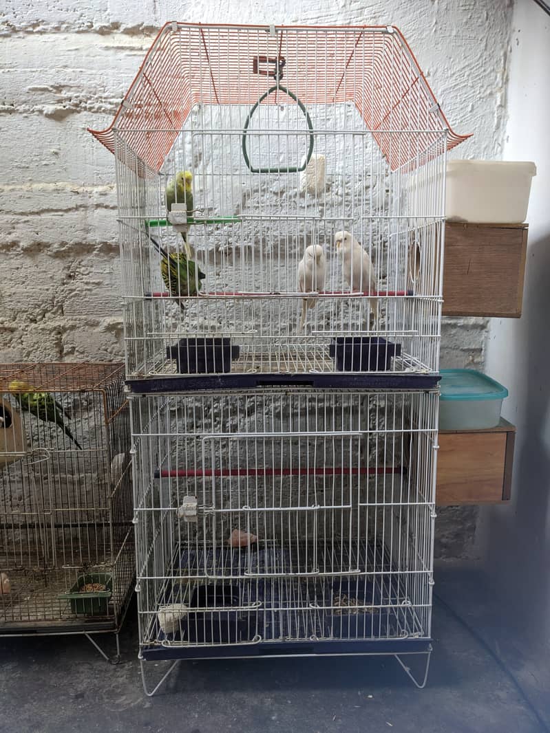 1 cage for row parrot or 2 potion cage for budgies ND lovebirds 1