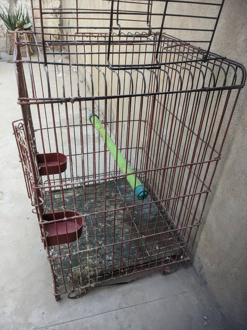 1 cage for row parrot or 2 potion cage for budgies ND lovebirds 2