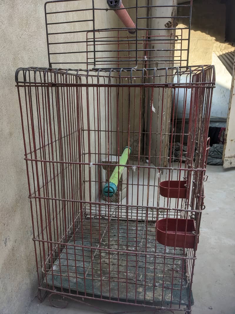 1 cage for row parrot or 2 potion cage for budgies ND lovebirds 3