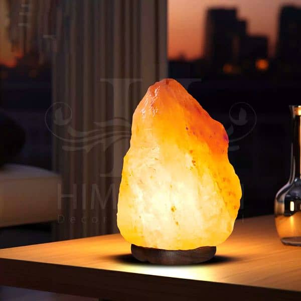 100% Pure Natural Shaped Himalayan Salt Lamp From Khewra Salt mine 2