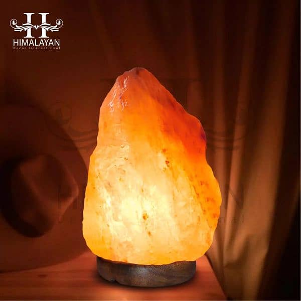 100% Pure Natural Shaped Himalayan Salt Lamp From Khewra Salt mine 5