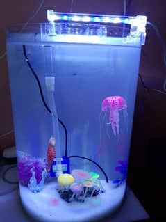 amporti aquarium for sale