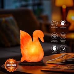 Swan Shaped 100% Pure Himalayan Salt Lamp From Khewra Salt Mine