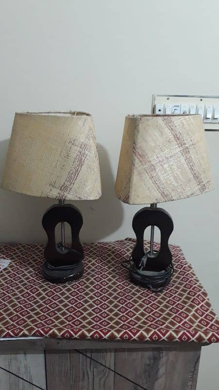 Two Lamps and bulbs 6