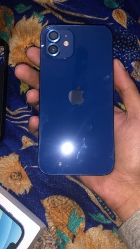 i phone 12 blue color 79 bettry health PTA approved  10/10 condition 1