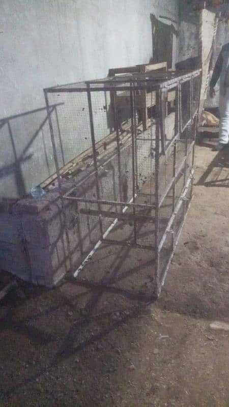 Big Size Hen Cage 6×4   6box 1