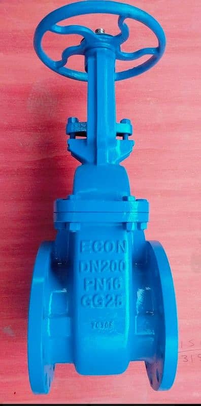 gate valve glob valve Nrv or y stainer 0