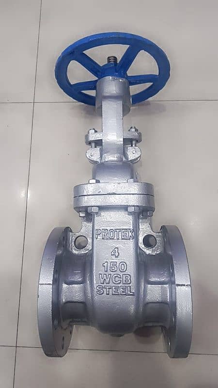 gate valve glob valve Nrv or y stainer 3