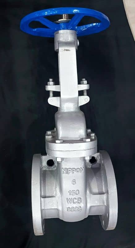 gate valve glob valve Nrv or y stainer 4