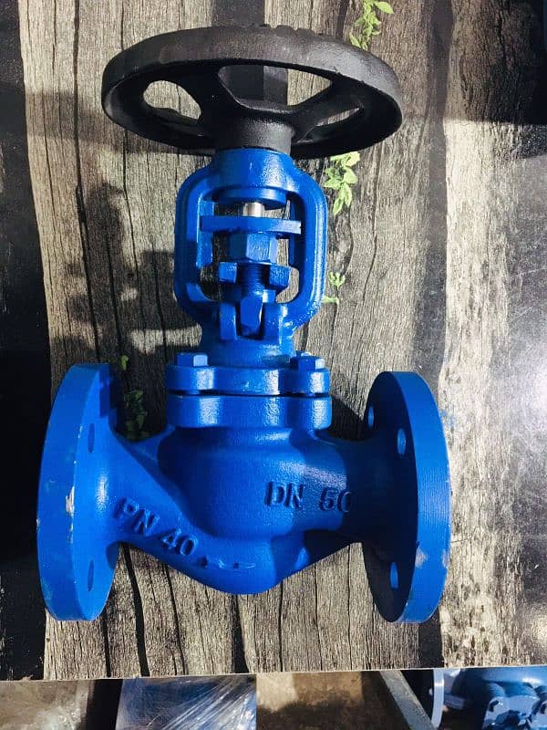 gate valve glob valve Nrv or y stainer 6