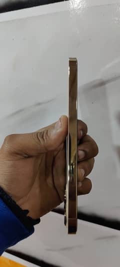 iPhone 12 Pro Max dual pta approved