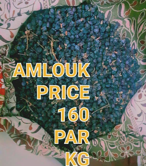 amlouk 0