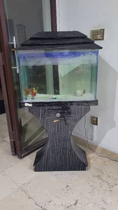 Fish Aquarium - 2.5 ft size